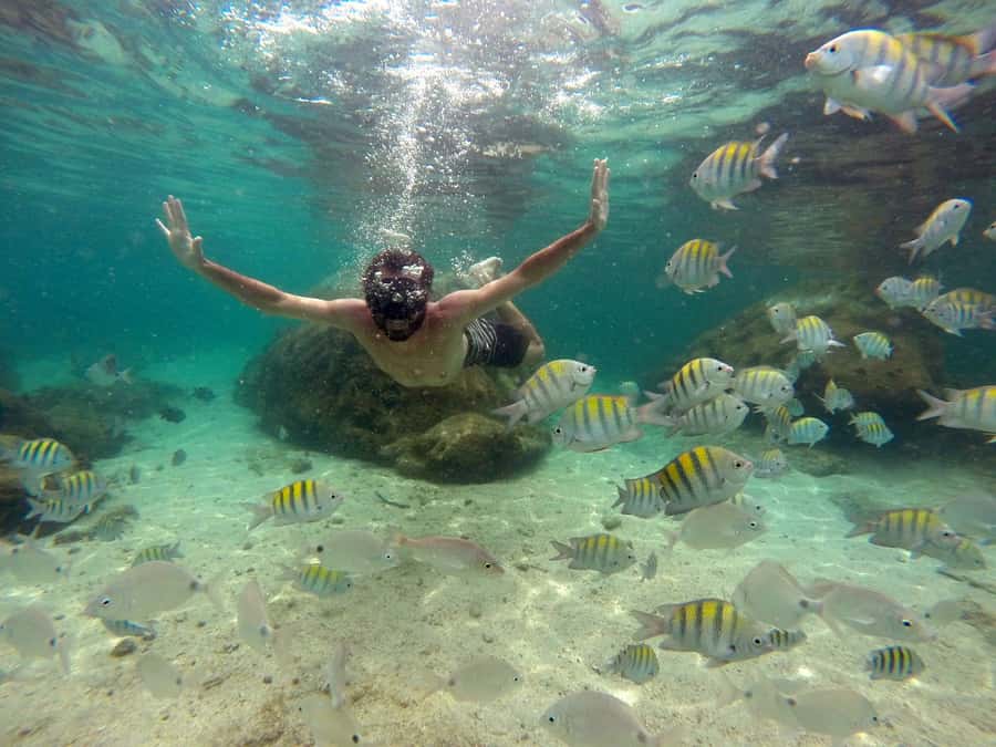 Angra dos Reis and Ilha Grande: Small-Group Fast-Boat Tour - Green Lagoon and Saco do Céu