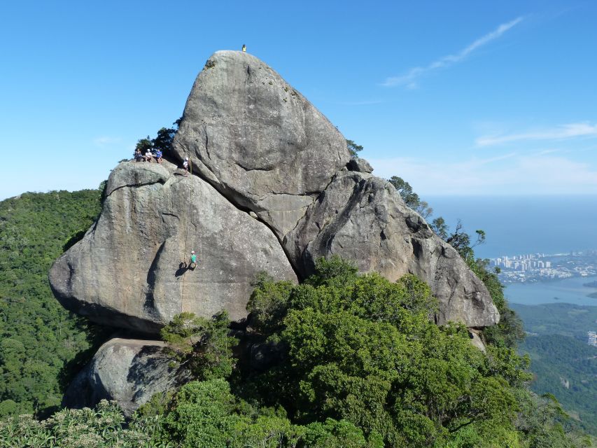 Bico do Papagaio Guided Hiking Tour in the Tijuca Forest - Heading into Tijuca Forest from Alto da Boa Vista
