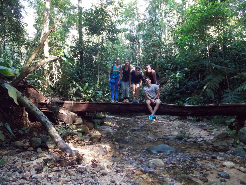 Bico do Papagaio Guided Hiking Tour in the Tijuca Forest - Views from the Tooth Stone