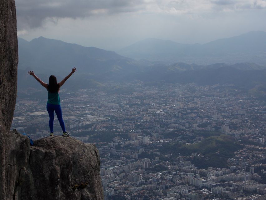 Bico do Papagaio Guided Hiking Tour in the Tijuca Forest - Wildlife along the forest trails