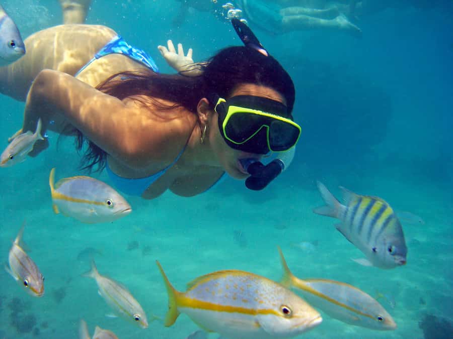 Búzios Day Trip from Rio de Janeiro - Seven beaches from a crowded schooner