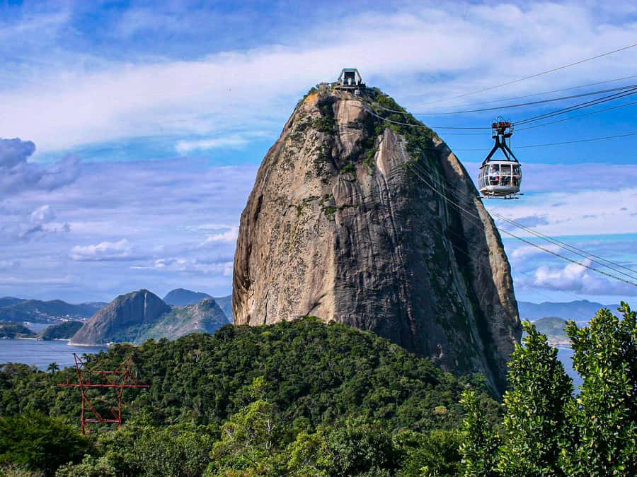 Christ the Redeemer and Escadaria Selarón Half-Day Tour - Key points to know before you book