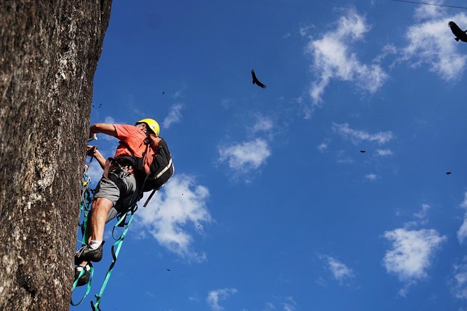 Climb Rio de Janeiro: Rock Climbing Tailored for All Levels - Why Sugarloaf is a fine place to climb