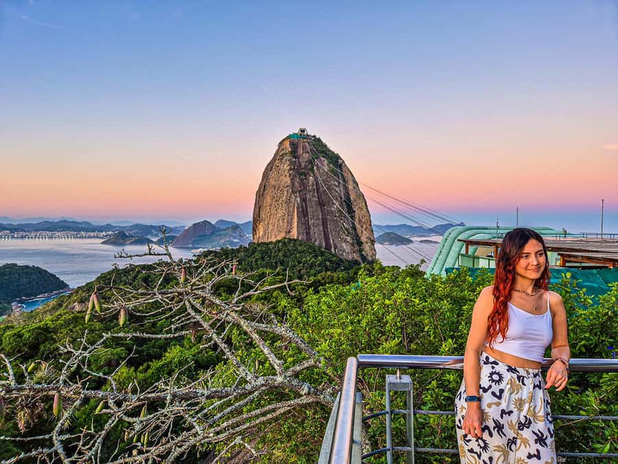 Corcovado, Sugarloaf Mountain, and Selarón Steps 6-Hour Tour - What the guides add to the day