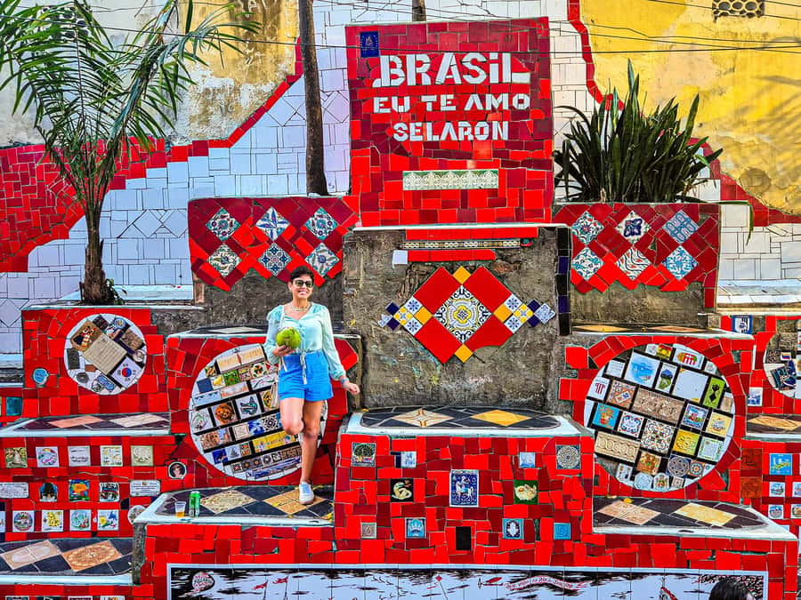 Corcovado, Sugarloaf Mountain, and Selarón Steps 6-Hour Tour - Who should choose this tour?