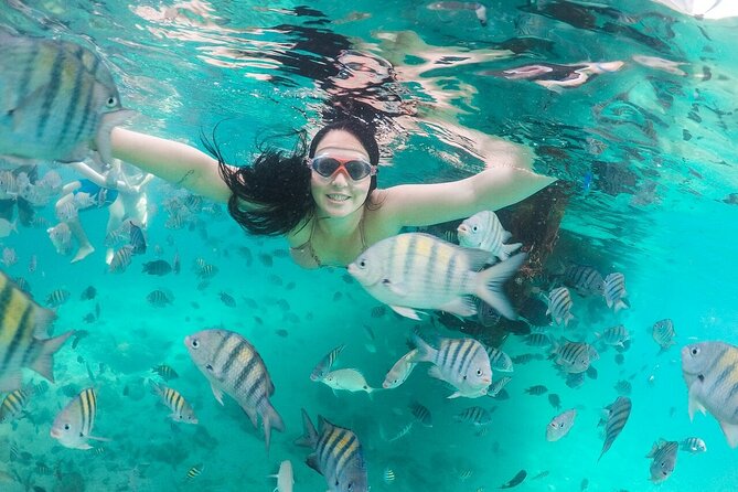 Exploring Angra Dos Reis and Ilha Grande in One Day - Lagoa Azul for clear water and fish