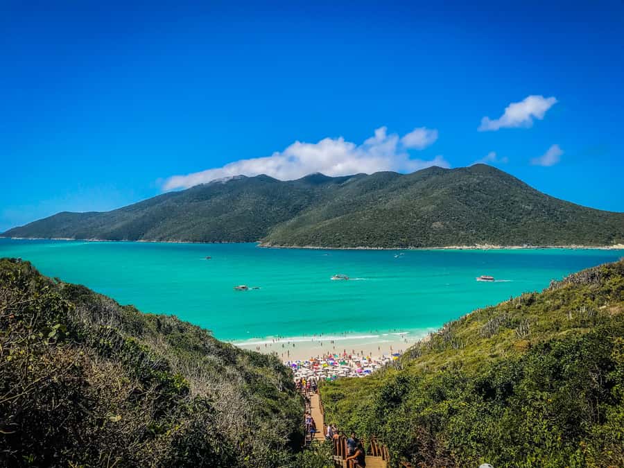 From Rio: Arraial do Cabo Day Trip with Boat Tour - The long road from Rio to the Costa do Sol