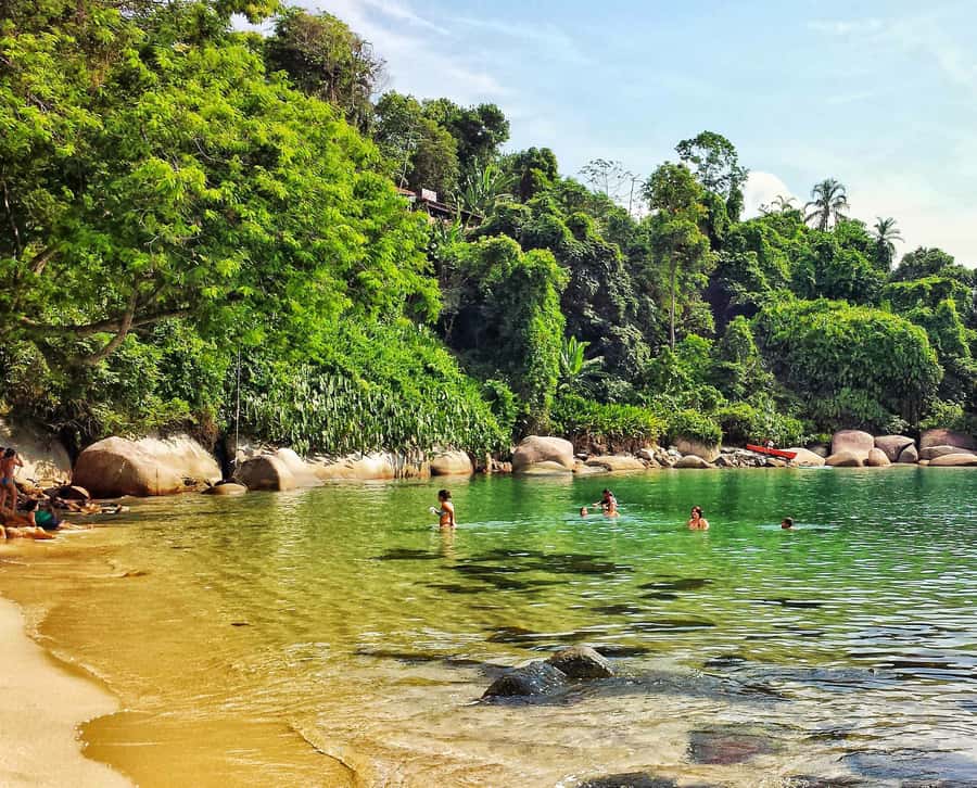 From Rio de Janeiro: Angra dos Reis Boat Trip with Lunch - The early pickup and three-hour road journey