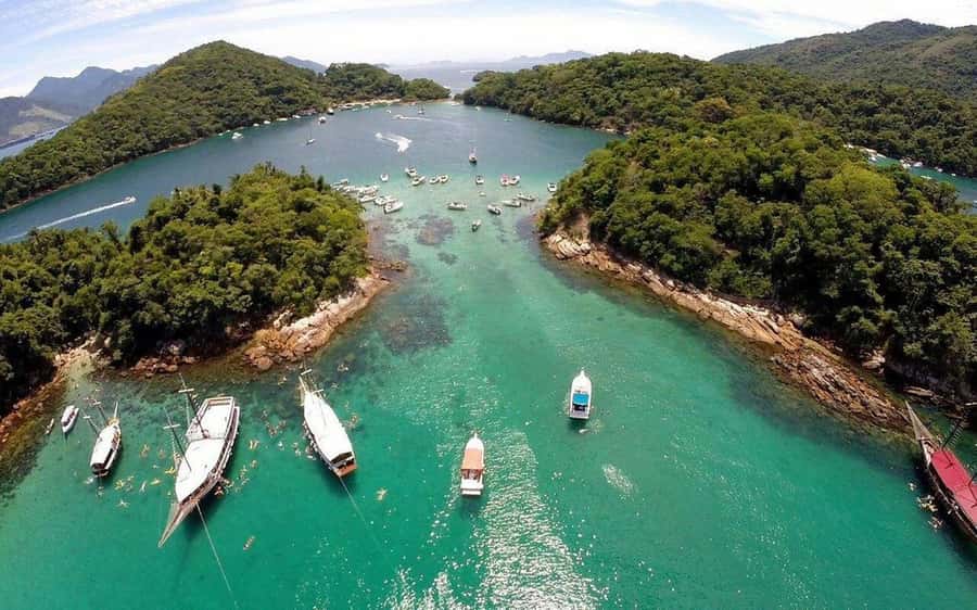 From Rio de Janeiro: Angra dos Reis & Ilha Grande Day Tour - Who should book this experience