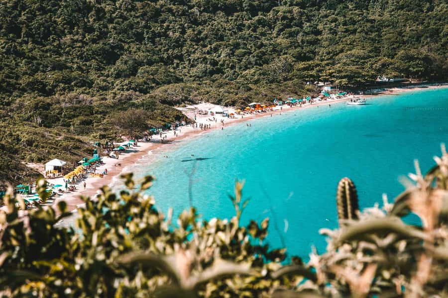 From Rio de Janeiro: Arraial do Cabo Island Day Trip - Booking details that matter