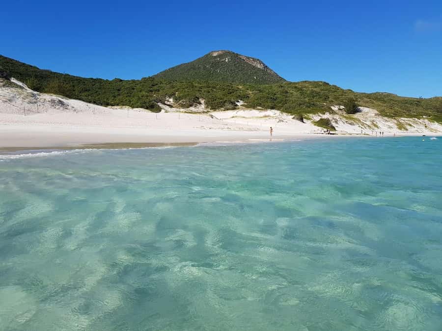 From Rio de Janeiro: Arraial do Cabo Island Day Trip - Praia do Forno and the first taste of clear water