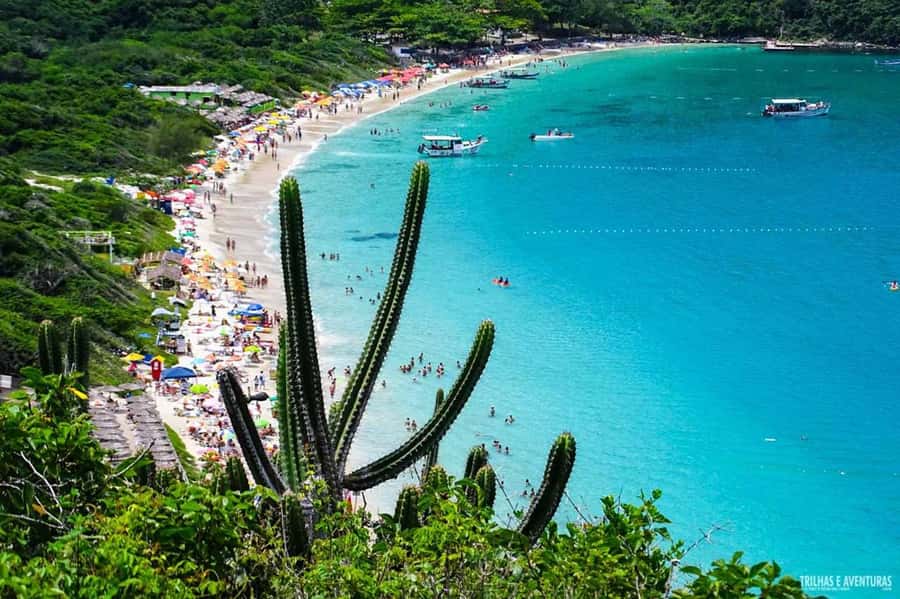 From Rio de Janeiro: Arraial do Cabo Island Day Trip - A buffet lunch that keeps the day moving