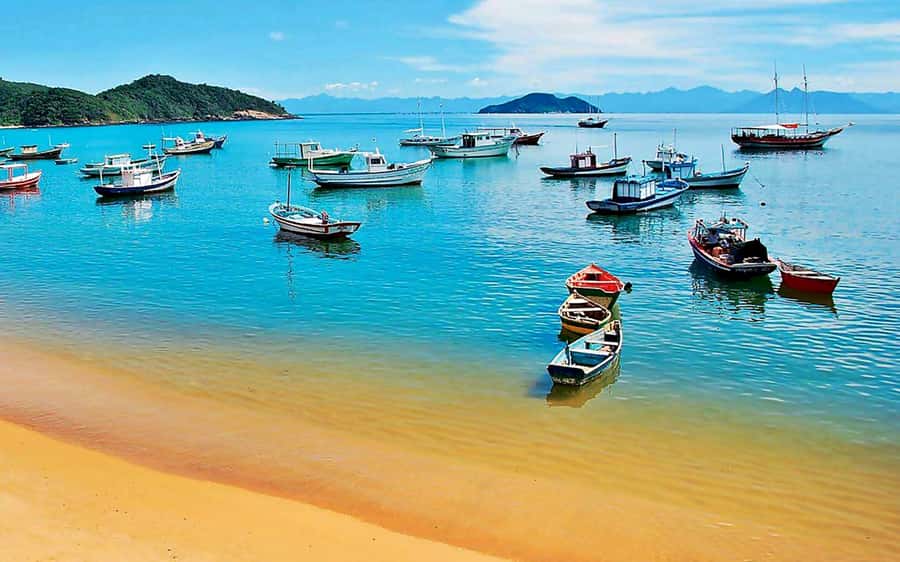 From Rio de Janeiro: Búzios Full-Day Boat Tour - What the $69 price really covers