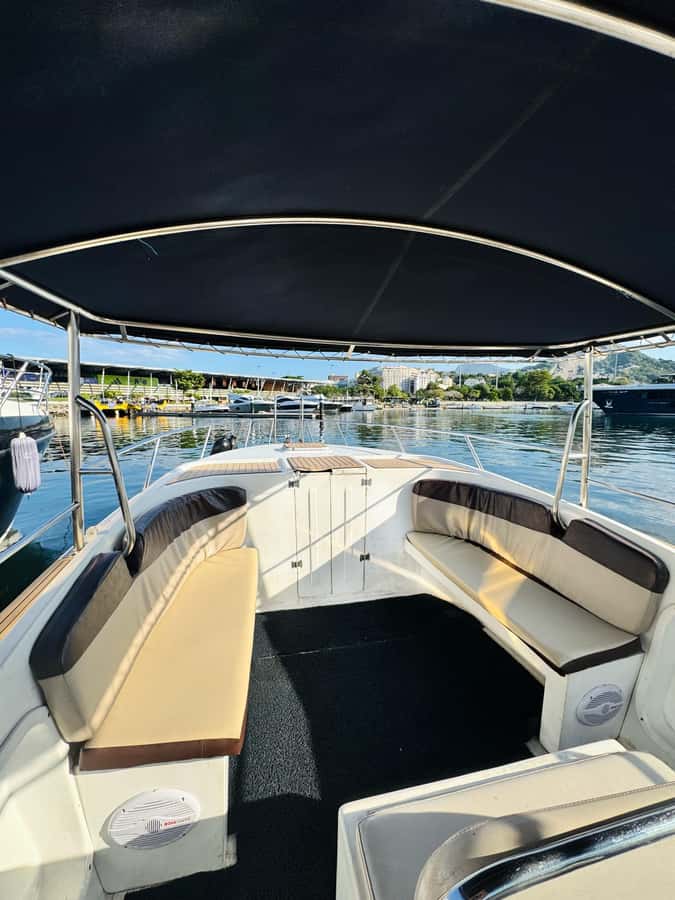 From Rio de Janeiro: Private Speedboat Tour - Language, weather, and other practical limits