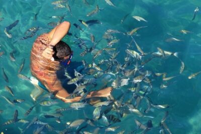 Full Day Tour to Angra dos Reis and Grand Island