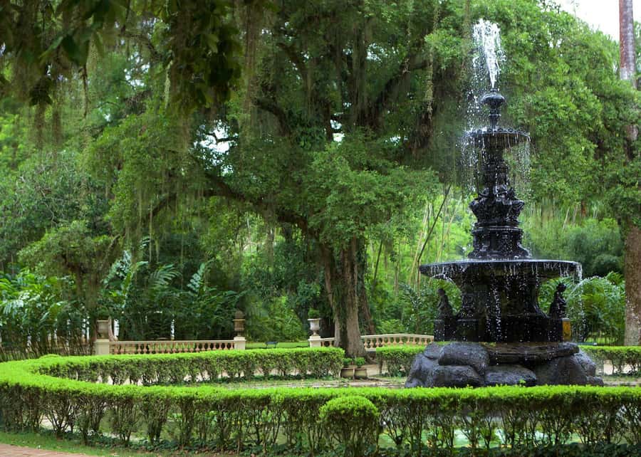 Green Rio: Guided Tour of Botanical Garden and Lage Park - Two Rio retreats beneath Corcovado