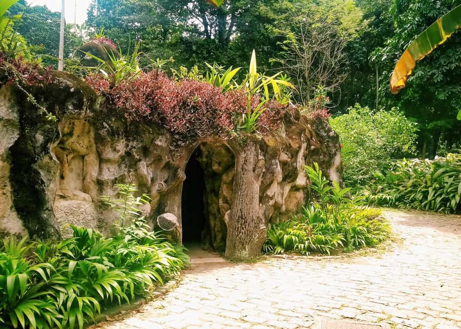 Green Rio: Guided Tour of Botanical Garden and Lage Park - The Botanical Garden and its royal palms