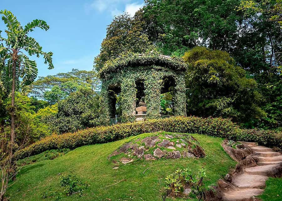 Green Rio: Guided Tour of Botanical Garden and Lage Park - What the $107 price really covers