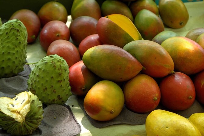 Guided Market Fruit Tasting in Rio with 15+ Exotic Flavors - A small group keeps the market visit personal