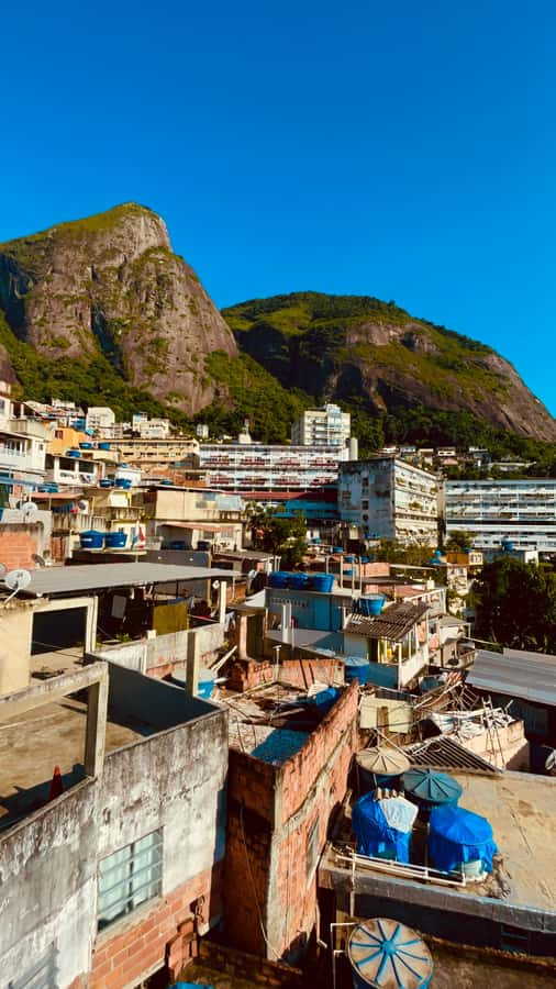 Hike Dois Irmãos + Vidigal Favela Experience - The one-hour climb up Dois Irmãos