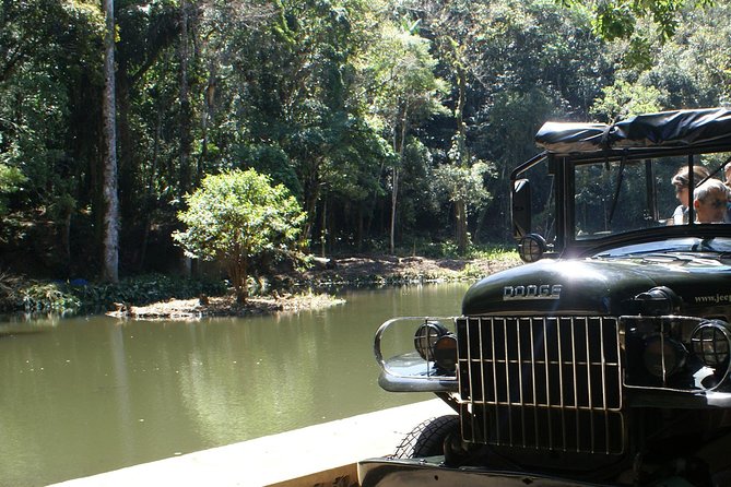 Jeep Adventure: Guided Tour through Tijuca Rain Forest - Why Tijuca Forest is worth your morning