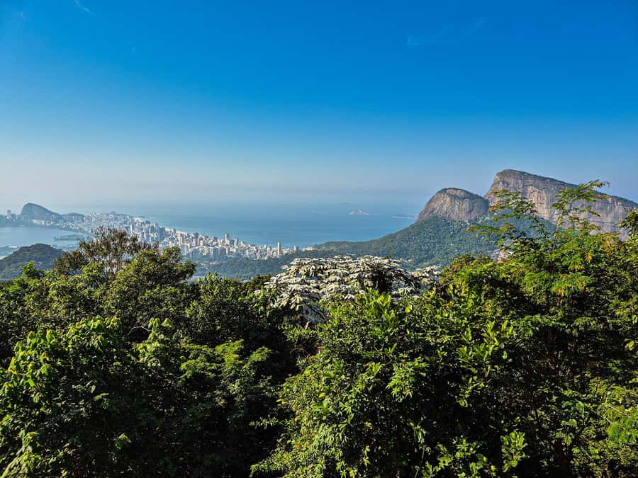 Jeep'n'Culture: Rocinha Favela and Tijuca Rainforest Tour - Two sides of Rio in one short outing