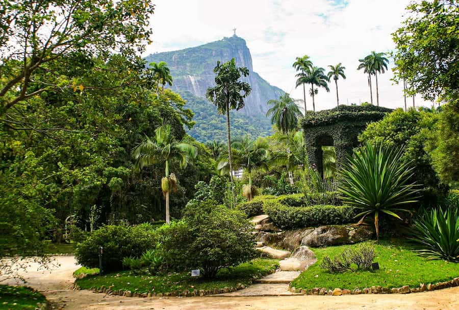 Jeep'n'Green: Rio Botanical Garden & Tijuca Rainforest Tour - Key points to know before booking