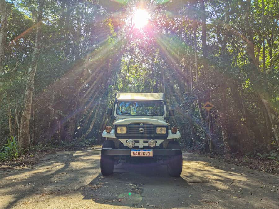 Jeep'n'Green: Rio Botanical Garden & Tijuca Rainforest Tour - Why this four-hour nature tour works in Rio