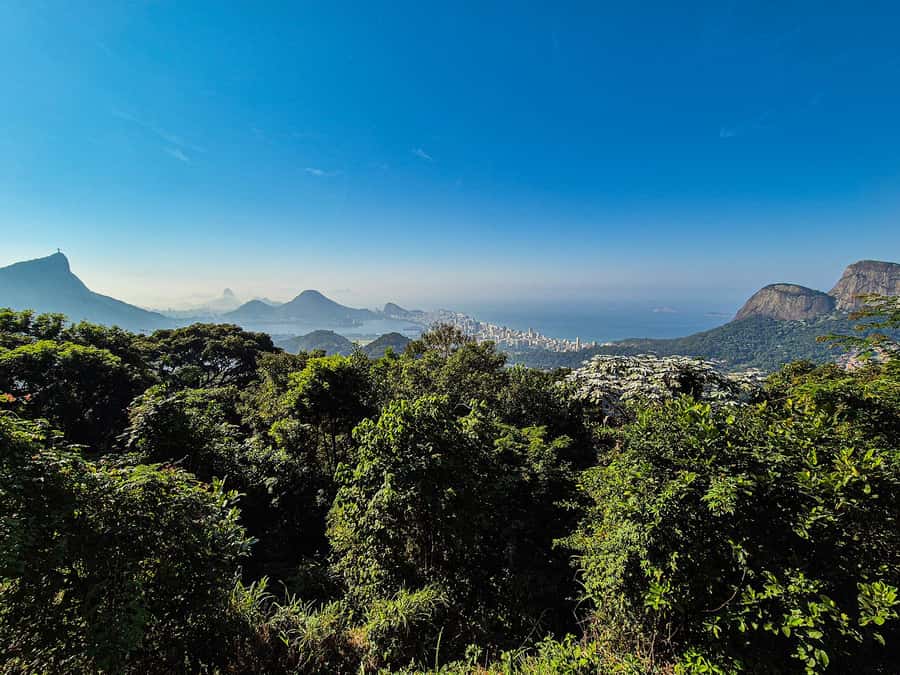 Jeep'n'Green: Rio Botanical Garden & Tijuca Rainforest Tour - Emperor’s Table and Mayrink Chapel