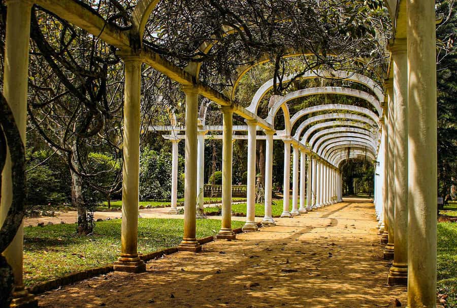 Jeep'n'Green: Rio Botanical Garden & Tijuca Rainforest Tour - Pepino Beach and the last look at Rio