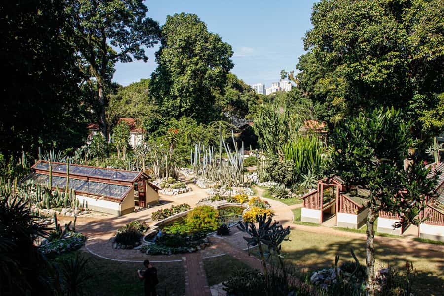 Jeep'n'Green: Rio Botanical Garden & Tijuca Rainforest Tour - Pickup, timing, and what the $95 covers