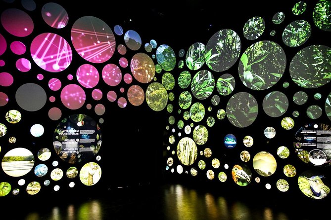 Museum of Tomorrow Guided Tour, Admission & Transfer - Why the Museum of Tomorrow is worth your Rio time