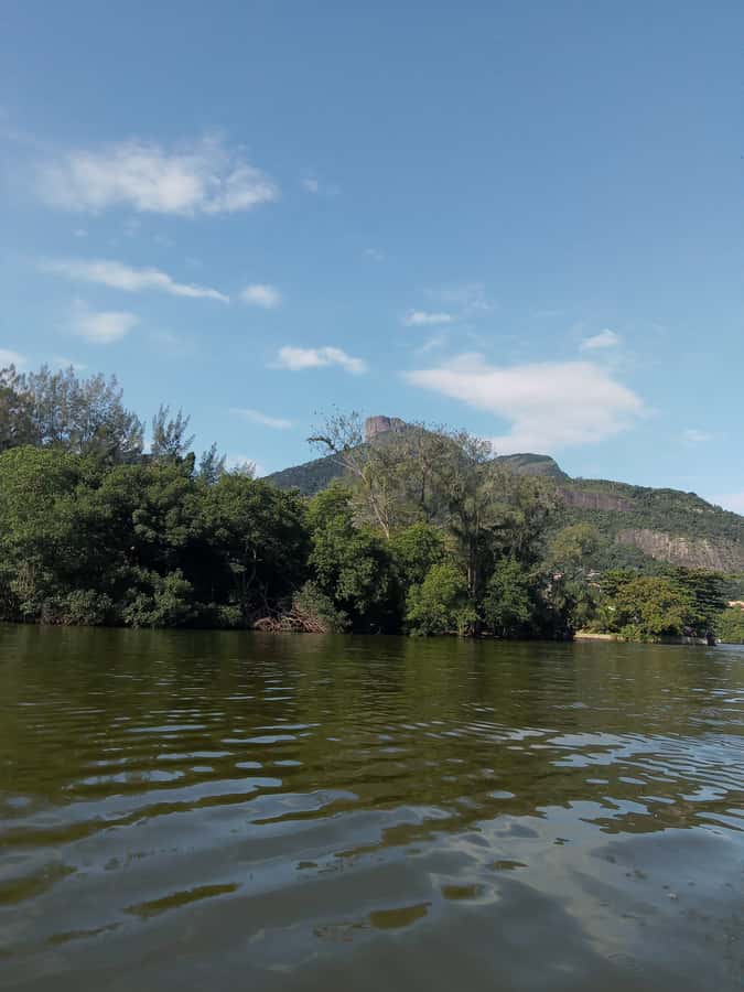 Pantanal of Rio de Janeiro - Rio’s urban wetlands at the edge of Barra