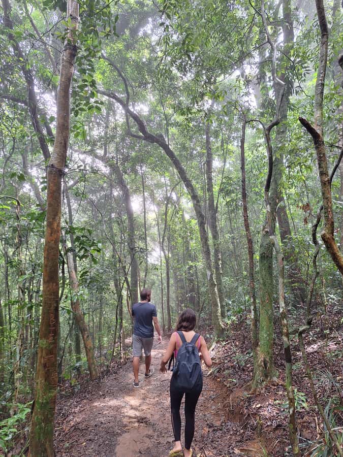 Pedra Bonita Trail: The easiest trail with a beautiful view of Rio - The Pedra Bonita viewpoint and its wide Rio views