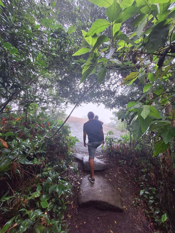 Pedra Bonita Trail: The easiest trail with a beautiful view of Rio - What the guide adds to the outing