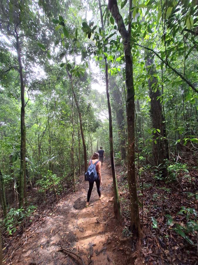 Pedra Bonita Trail: The easiest trail with a beautiful view of Rio - Pickup from Copacabana or Barra da Tijuca