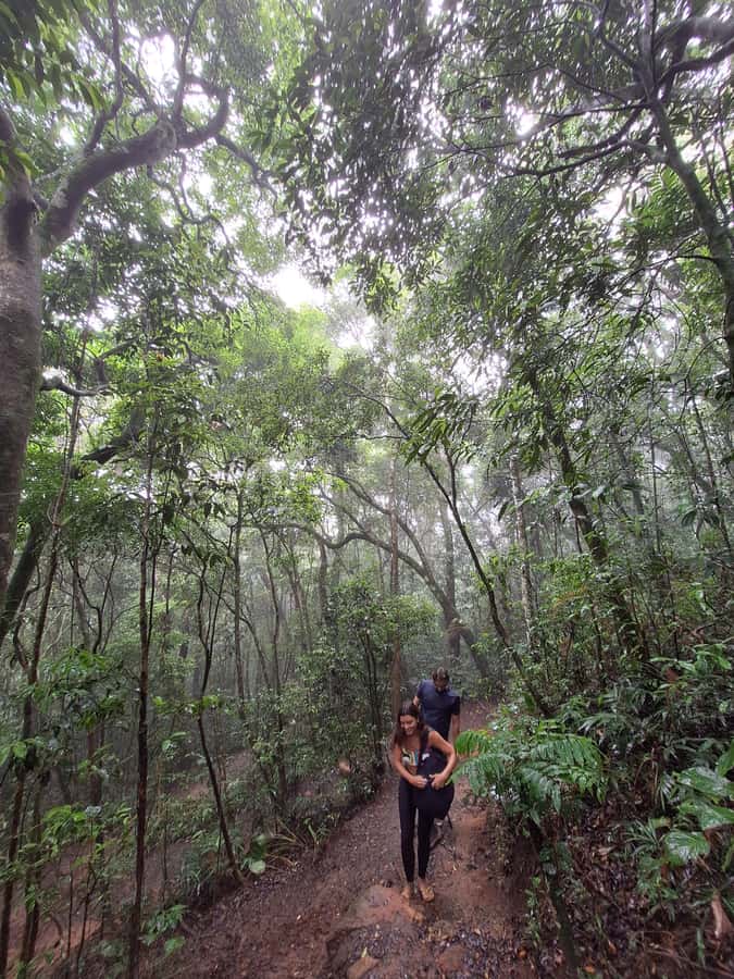 Pedra Bonita Trail: The easiest trail with a beautiful view of Rio - Booking, cancellation, and timing