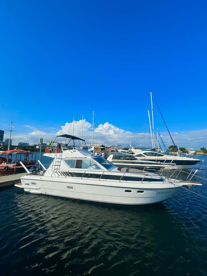 Private speedboat tour in Rio de Janeiro - How the swimming stop is chosen