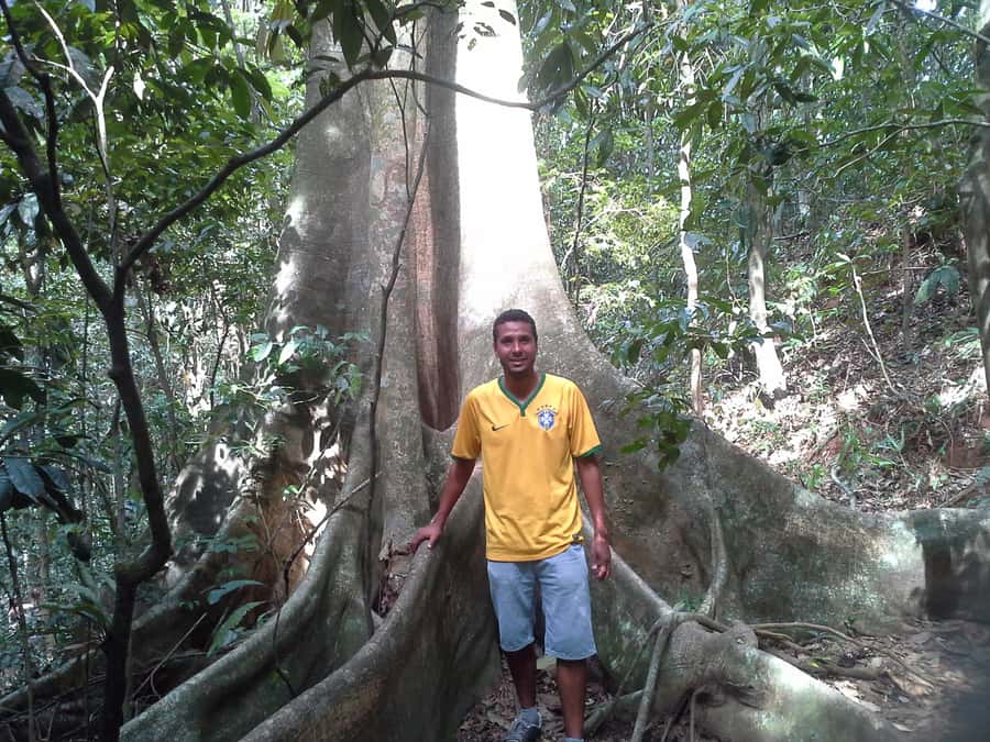 Private Tijuca Forest & Botanical Garden Guided Tour - Key points to know before booking