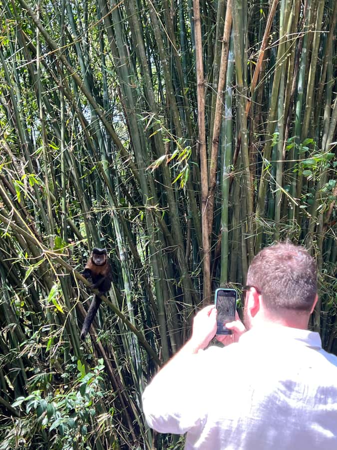 Private Tijuca Forest & Botanical Garden Guided Tour - Who should book this five-hour outing?