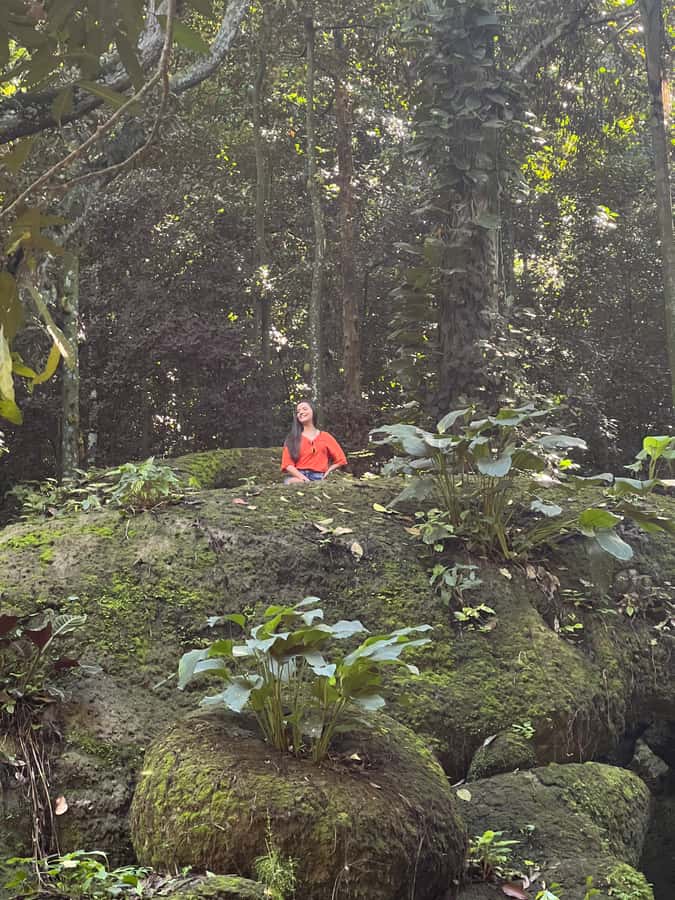 Private Tijuca Forest & Botanical Garden Guided Tour - Why this private Rio nature tour works