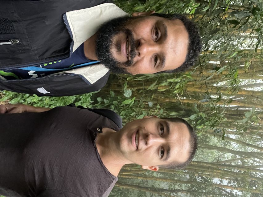 Private Tijuca Forest & Botanical Garden Guided Tour - Finishing at Rio’s Botanical Garden