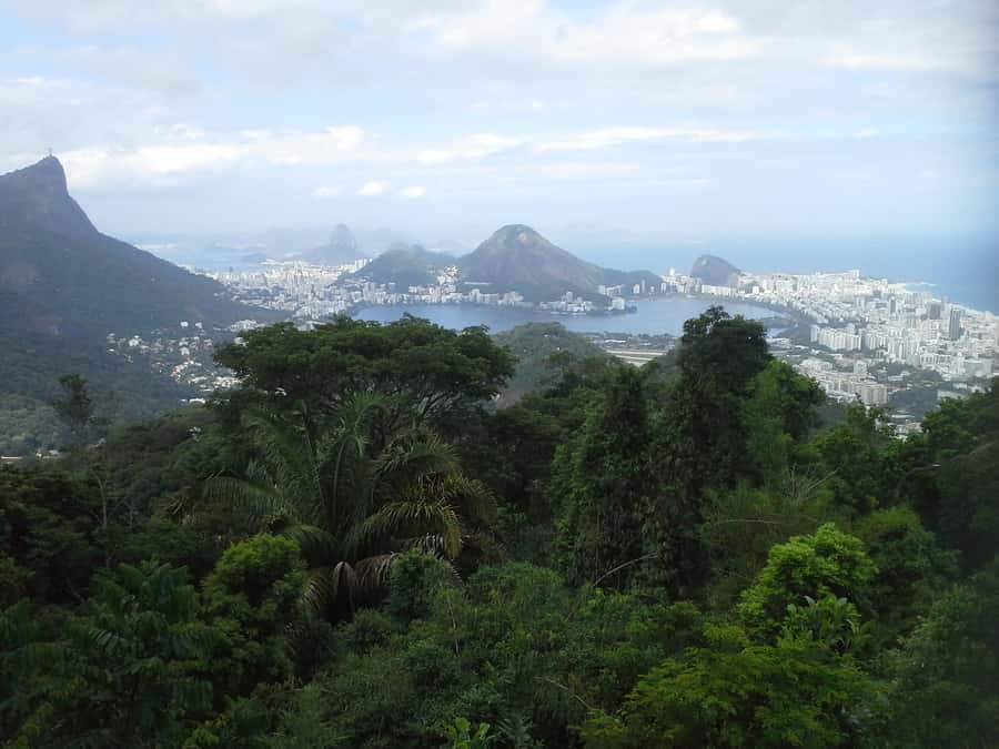 Private Tijuca Forest & Botanical Garden Guided Tour - What the private vehicle adds