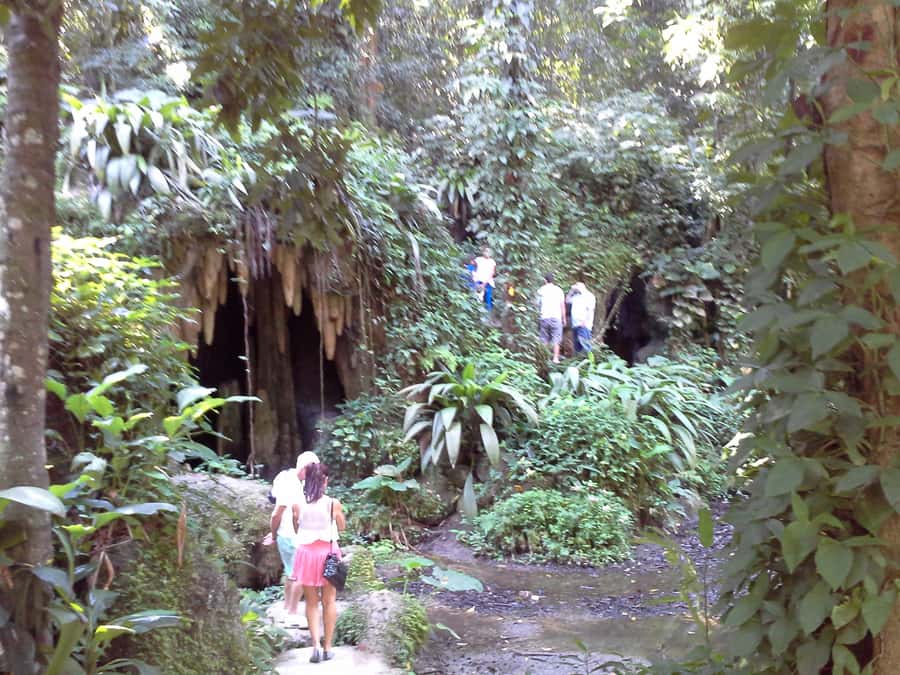 Private Tijuca Forest & Botanical Garden Guided Tour - Is $80 per person a fair price?