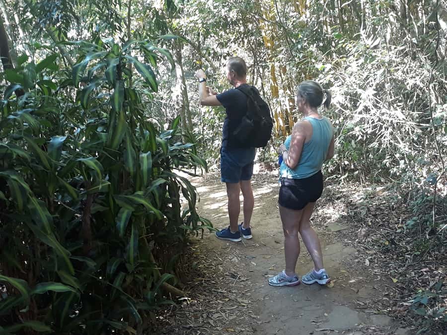 Private Tijuca Forest & Botanical Garden Guided Tour - Which guide style should you expect?