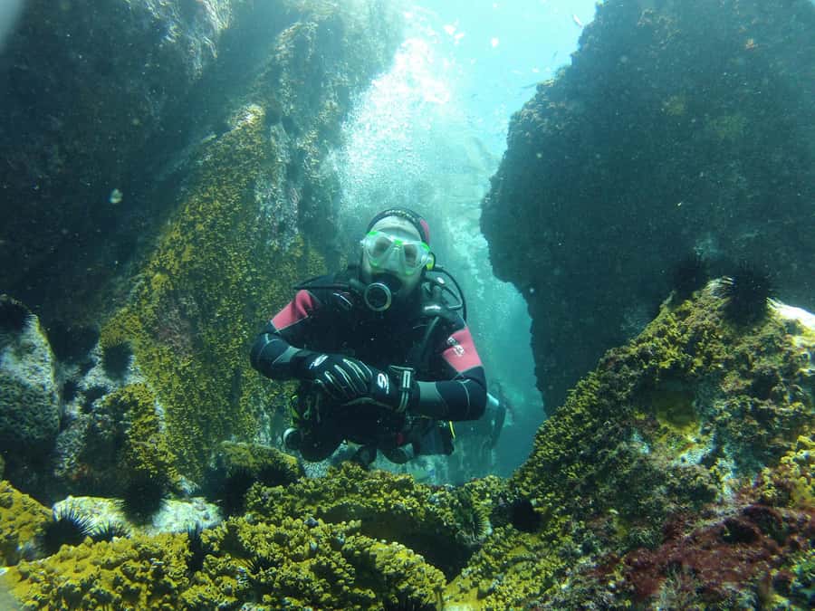 Rio: Best Dive Experience All Inclusive Scuba Diving Package - Why Arraial do Cabo is worth the long ride