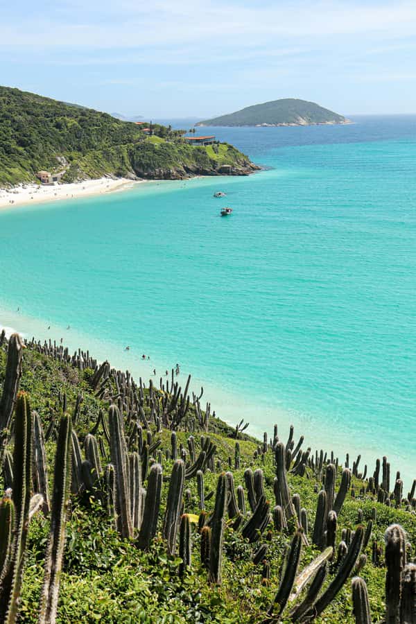 Rio: Best Dive Experience All Inclusive Scuba Diving Package - Two full-tank descents for certified participants