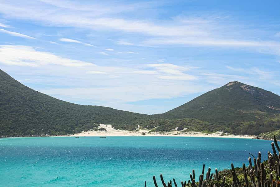 Rio: Best Dive Experience All Inclusive Scuba Diving Package - Marine life and changing visibility