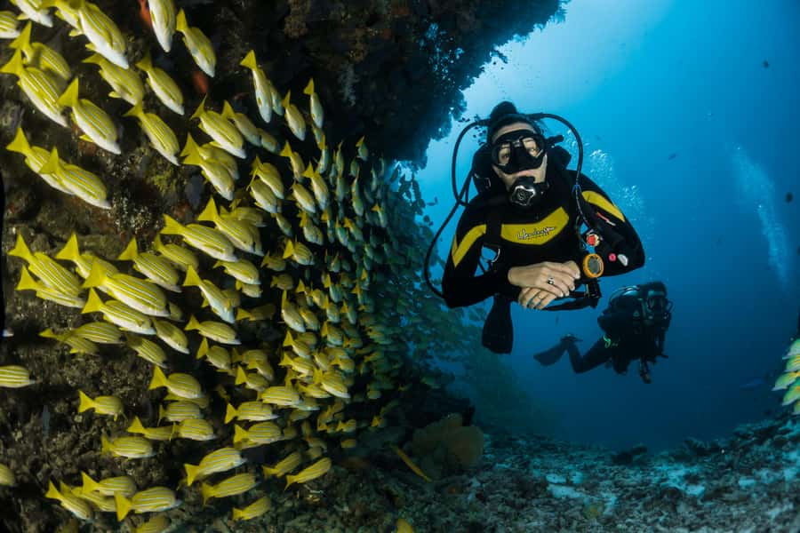 Rio: Best Dive Experience All Inclusive Scuba Diving Package - The Rio pickup and 2.5-hour road journey