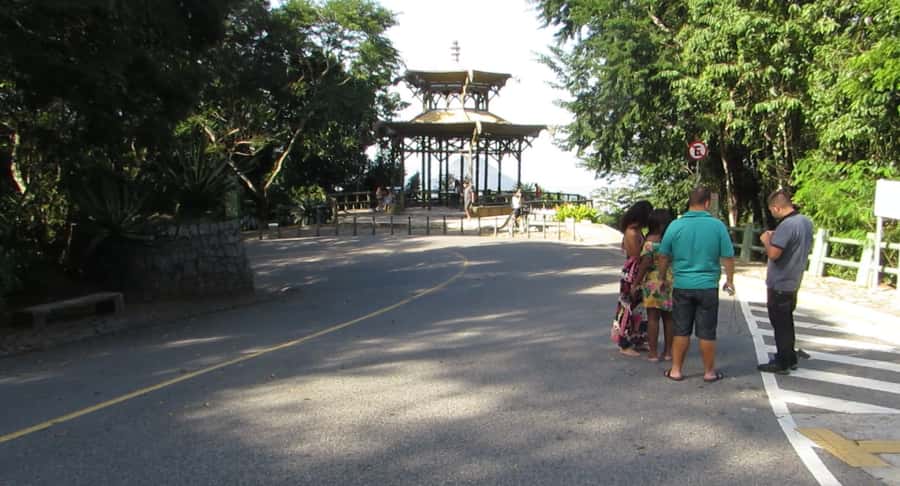 Rio: Botanical Garden, Tijuca Forest, and Parque Lage Tour - Who will get the most from this tour